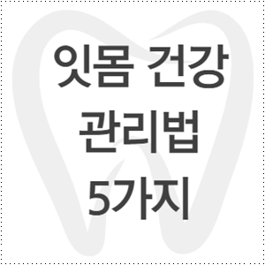 건강한 잇몸을 위한 관리법