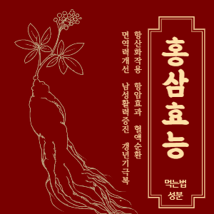 홍삼 효능, 효과