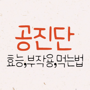 공진단 효능 10가지