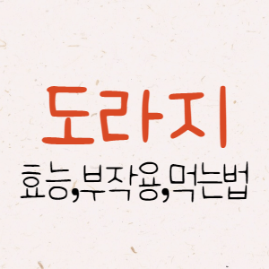 도라지 효능, 부작용 총정리