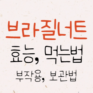 브라질너트 효능, 부작용