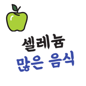 셀레늄 음식 섭취 정리