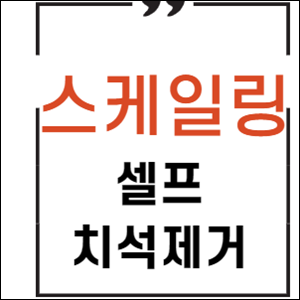 스케일링 비용, 가격, 방법