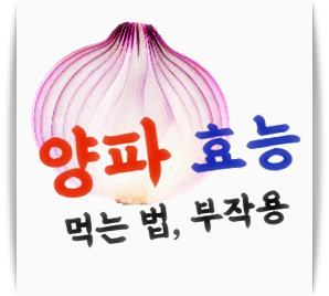 양파 효능과 효과 7가지
