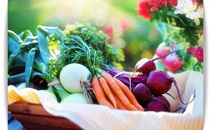 양파즙 효능, 부작용