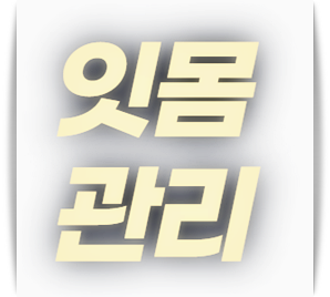 잇몸 관리, 치아 관리법