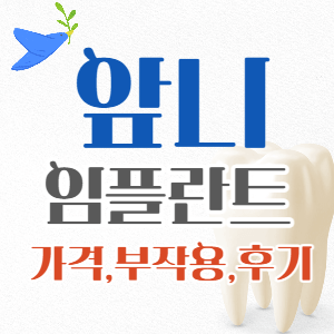 앞니 임플란트 가격