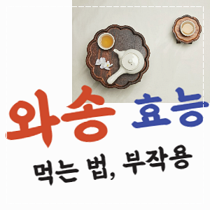 와송 효능과 효과 7가지
