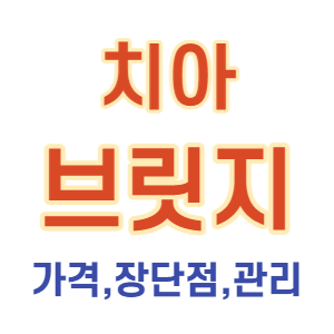 치아 브릿지 가격비용,수명 총정리
