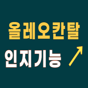 올레오칸탈 인지기능