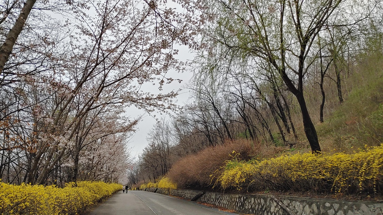 서울 마포구 상암동 임플란트 치과 추천