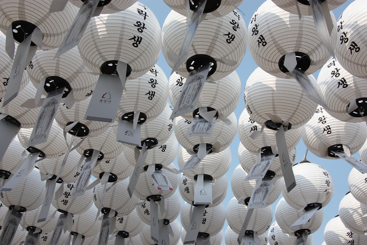 서울 강남구 삼성동 임플란트 치과 추천