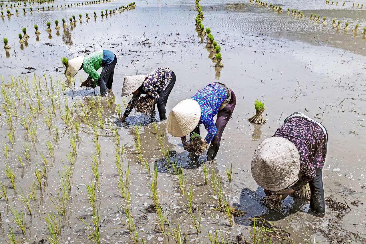 대구 중구 서내동 임플란트 치과 추천